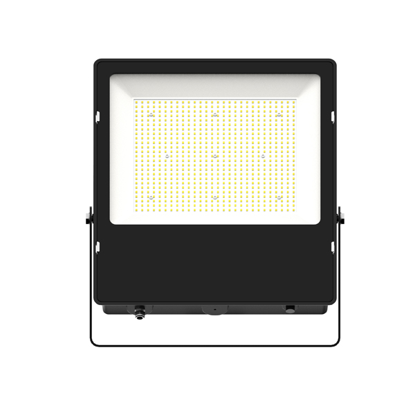 LED Flood Light